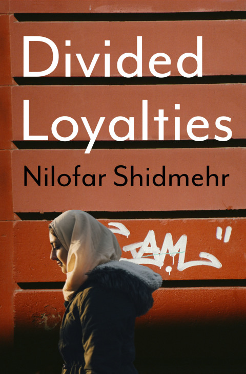 Cover image for book Divided Loyalties