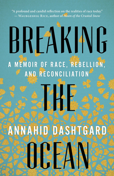 Cover image for book Breaking the Ocean