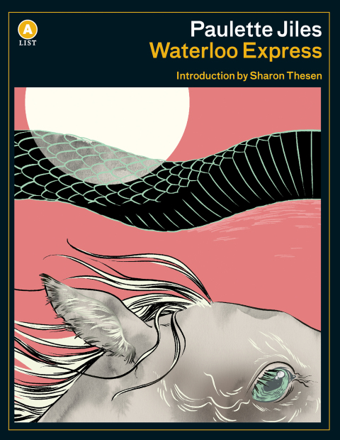 Cover image for book Waterloo Express