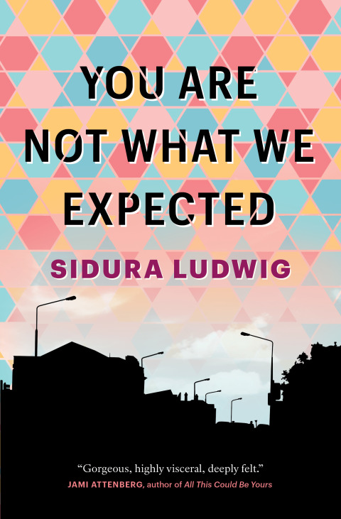 Cover image for book You Are Not What We Expected