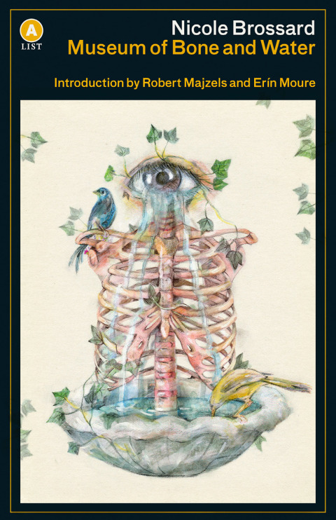 Cover image for book Museum of Bone and Water