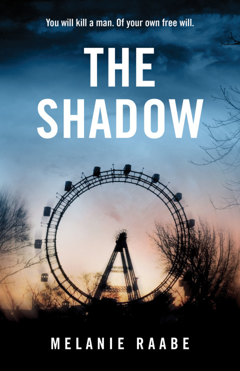 Cover image for book The Shadow