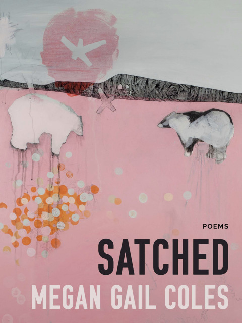 Cover image for book Satched