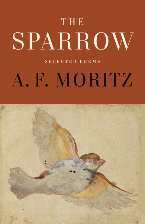 Cover image for book The Sparrow