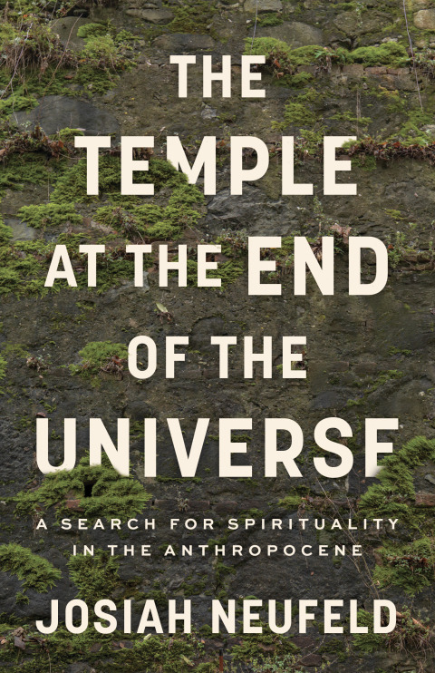 Cover image for book The Temple at the End of the Universe
