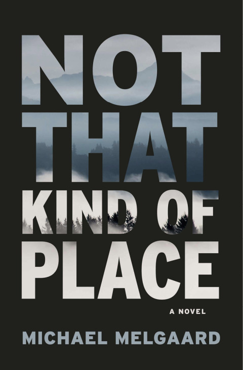 Cover image for book Not That Kind of Place