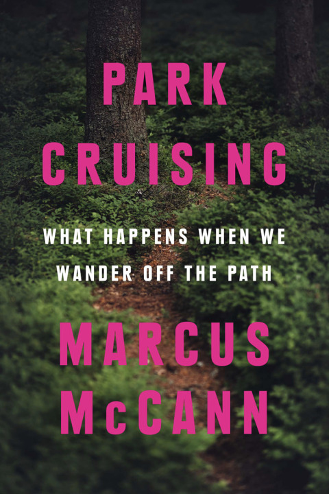 Cover image for book Park Cruising
