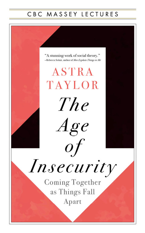 Cover image for book The Age of Insecurity