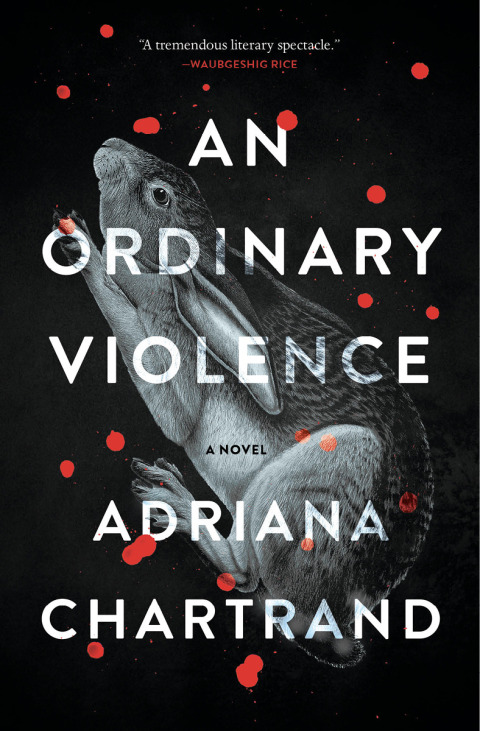 Cover image for book An Ordinary Violence