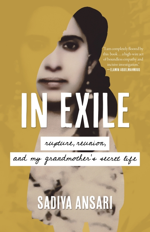 Cover image for book In Exile