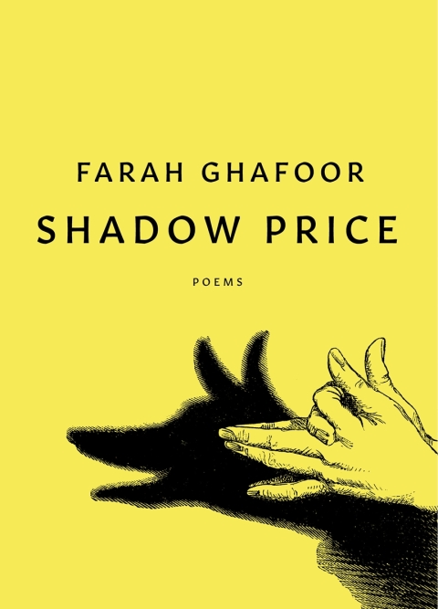 Cover image for book Shadow Price