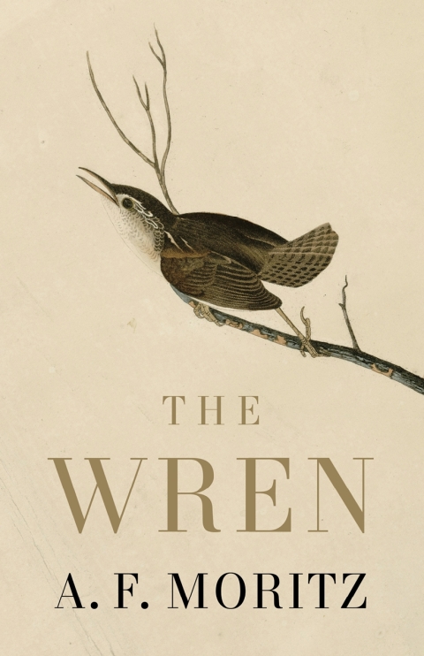 Cover image for book The Wren