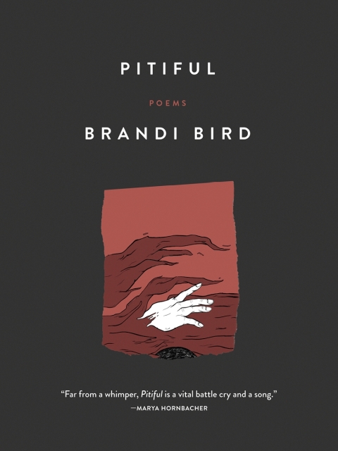 Cover image for book Pitiful