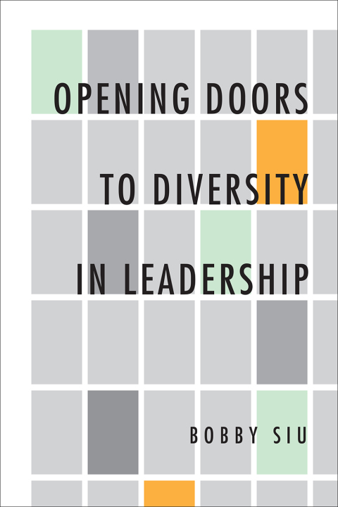 Cover image for book Opening Doors to Diversity in Leadership