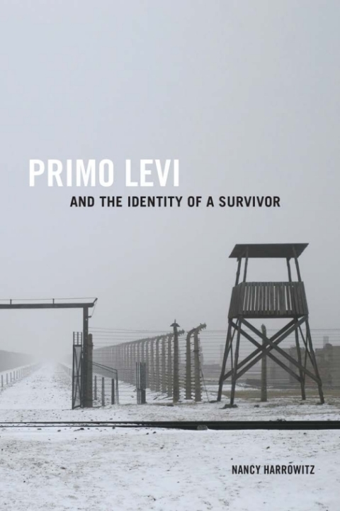 Cover image for book Primo Levi and the Identity of a Survivor