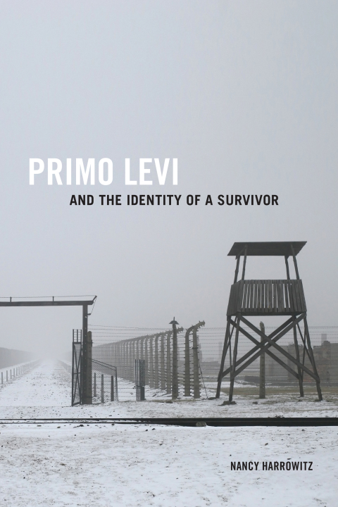 Cover image for book Primo Levi and the Identity of a Survivor