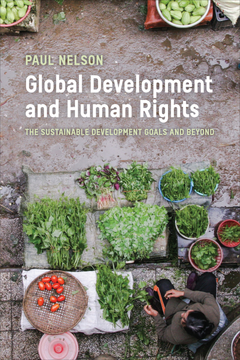 Cover image for book Global Development and Human Rights