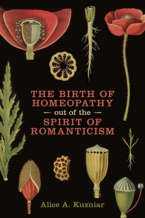 Cover image for book The Birth of Homeopathy out of the Spirit of Romanticism
