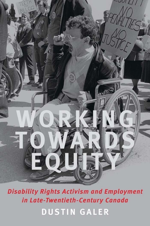 Cover image for book Working towards Equity