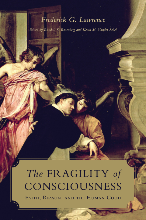 Cover image for book The Fragility of Consciousness