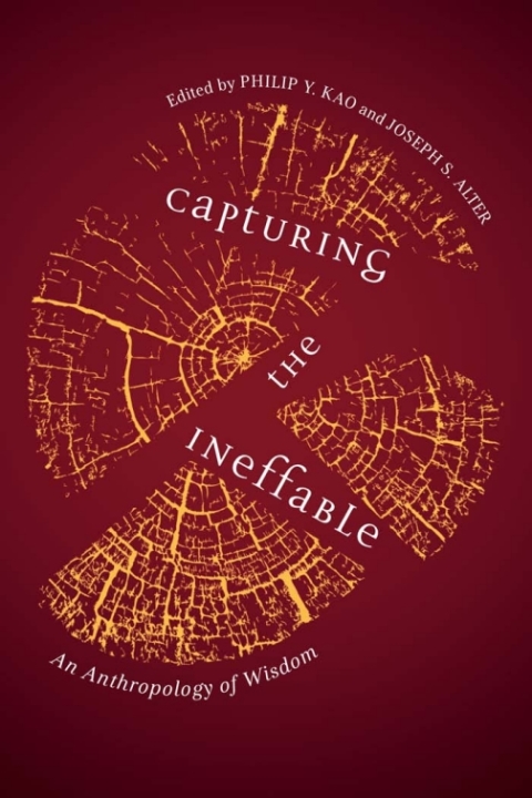 Cover image for book Capturing the Ineffable