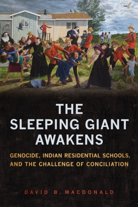Cover image for book The Sleeping Giant Awakens