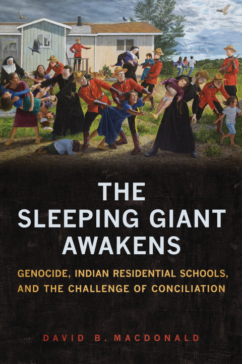 Cover image for book The Sleeping Giant Awakens