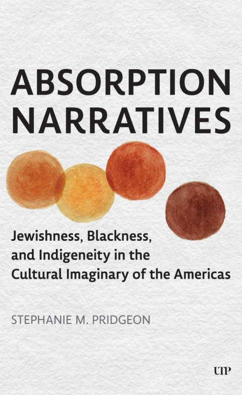Cover image for book Absorption Narratives