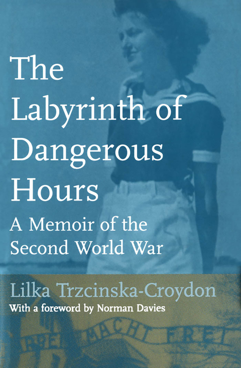 Cover image for book The Labyrinth of Dangerous Hours