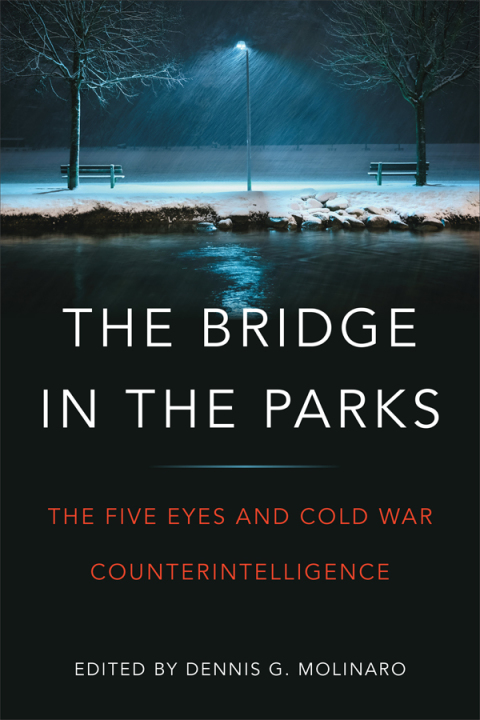 Cover image for book The Bridge in the Parks