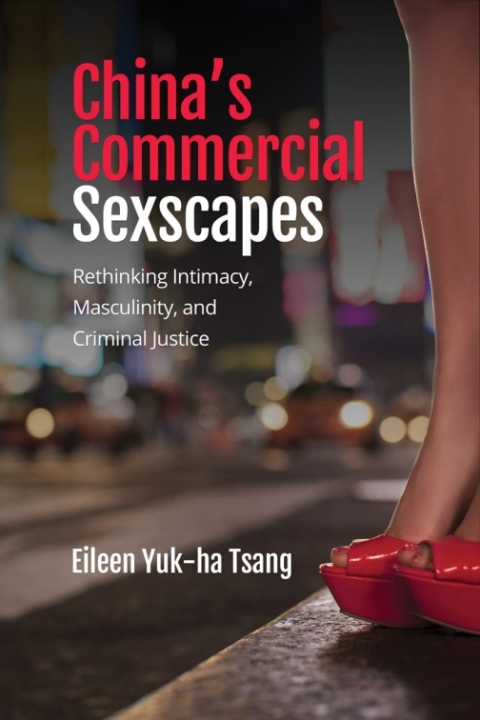 Cover image for book China’s Commercial Sexscapes
