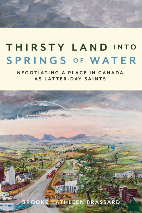 Cover image for book Thirsty Land into Springs of Water