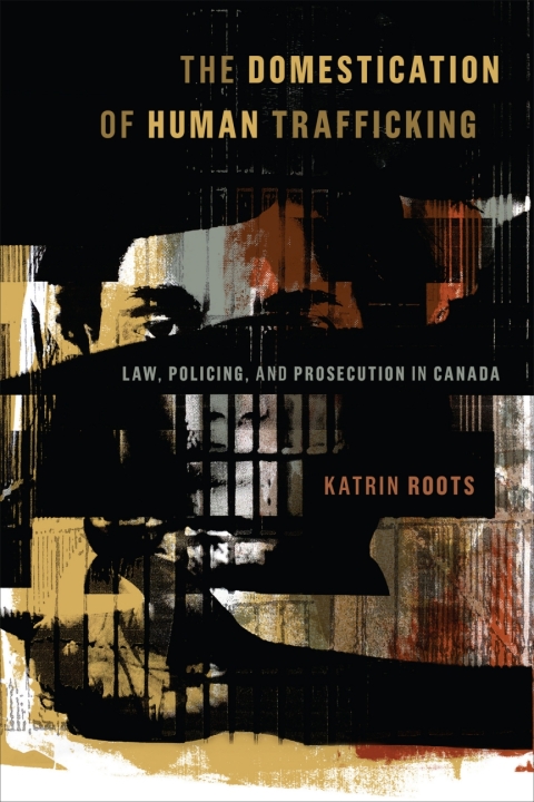 Cover image for book The Domestication of Human Trafficking