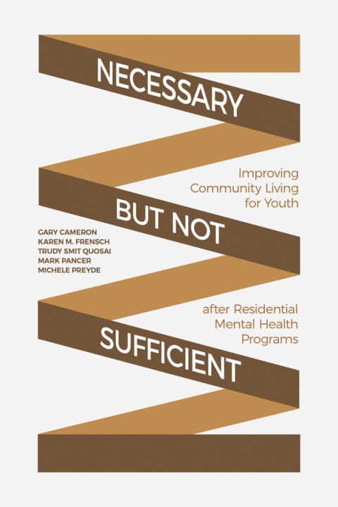 Cover image for book Necessary but Not Sufficient