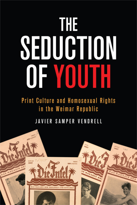 Cover image for book The Seduction of Youth