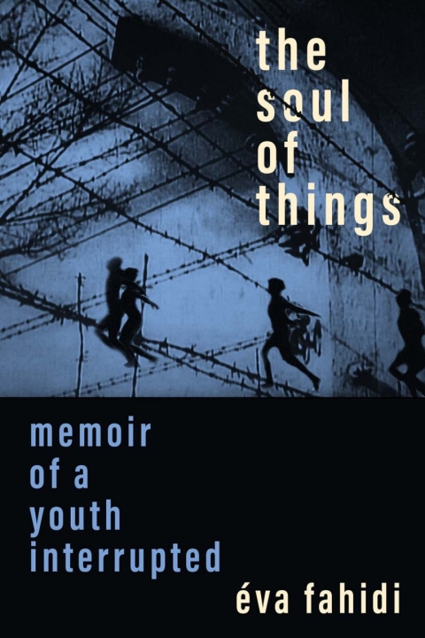 Cover image for book The Soul of Things