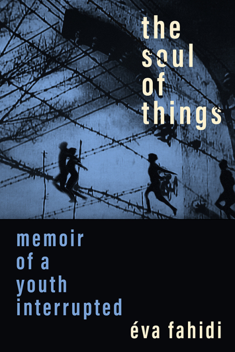 Cover image for book The Soul of Things