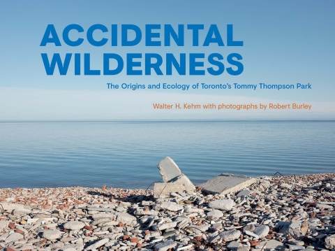 Cover image for book Accidental Wilderness