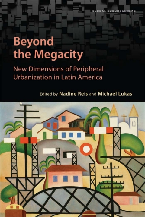 Cover image for book Beyond the Megacity
