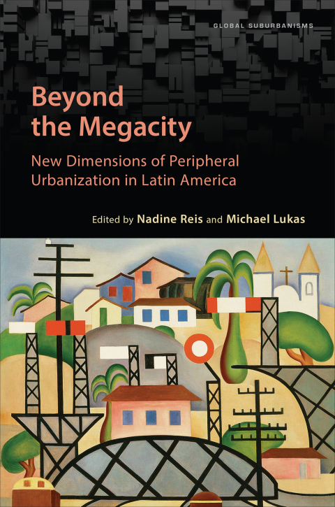 Cover image for book Beyond the Megacity