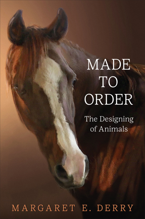 Cover image for book Made to Order