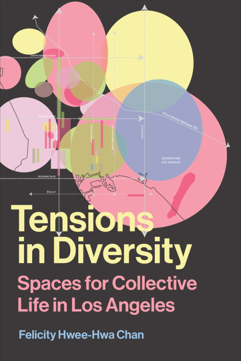 Cover image for book Tensions in Diversity