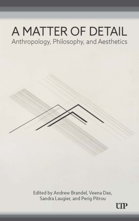 Cover image for book A Matter of Detail: Anthropology, Philosophy, and Aesthetics