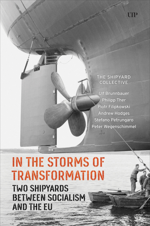 Cover image for book In the Storms of Transformation