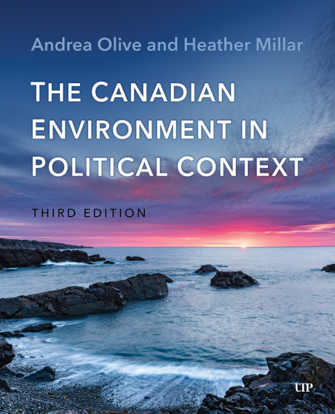 Cover image for book The Canadian Environment in Political Context