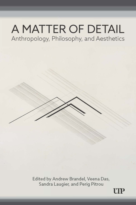 Cover image for book A Matter of Detail: Anthropology, Philosophy, and Aesthetics