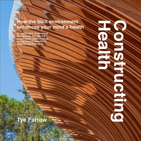 Cover image for book Constructing Health