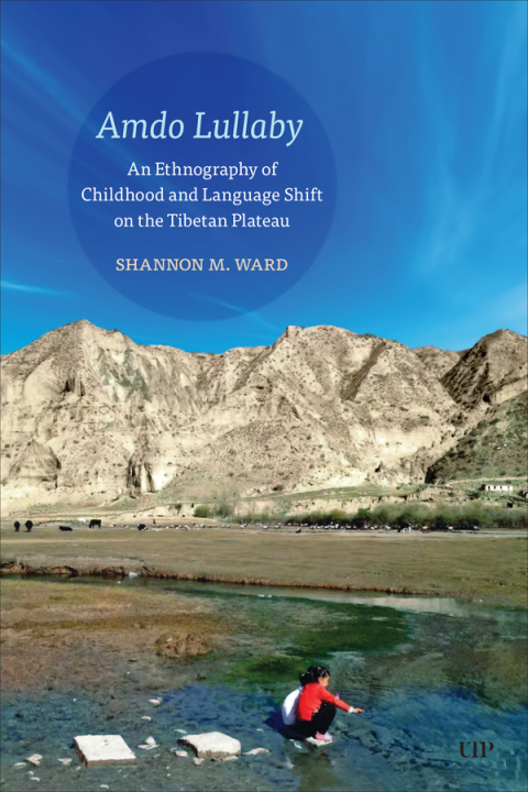 Cover image for book Amdo Lullaby