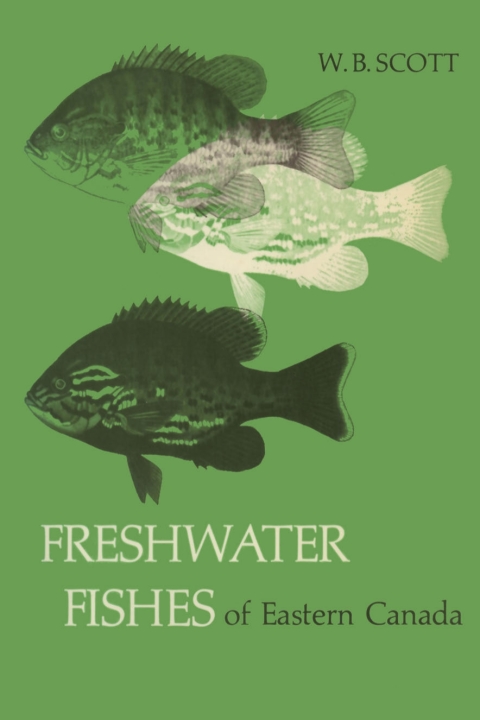 Cover image for book Freshwater Fishes of Eastern Canada