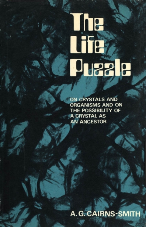 Cover image for book The Life Puzzle